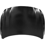 Order Hood Panel Assembly - NI1230221C For Your Vehicle