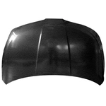 Order SHERMAN PARTS - 1601-28-0 - Hood Panel For Your Vehicle