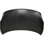 Order Hood Panel Assembly by SHERMAN PARTS - 1601B-28-0 For Your Vehicle