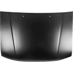 Order Hood Panel Assembly by SHERMAN PARTS - 1644-28-0 For Your Vehicle
