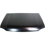 Order Hood Panel Assembly by SHERMAN PARTS - 1645-28Q-0 For Your Vehicle
