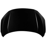 Order Hood Panel Assembly by SHERMAN PARTS - 2913B-28-0 For Your Vehicle