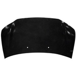 Order SHERMAN PARTS - 2922B-28-0 - Hood Panel For Your Vehicle