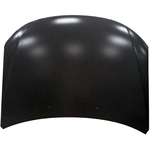 Order Hood Panel Assembly by SHERMAN PARTS - 3246B-28-0 For Your Vehicle