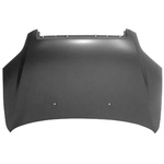 Order Hood Panel Assembly by SHERMAN PARTS - 602-28-1Q For Your Vehicle