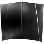 Order SHERMAN PARTS - 739-28U - Hood Panel For Your Vehicle