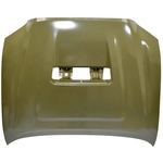 Order Hood Panel Assembly by SHERMAN PARTS - 8125A-28-0 For Your Vehicle