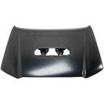 Order SHERMAN PARTS - 8125B-28Q-0 - Hood For Your Vehicle