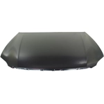 Order Hood Panel Assembly by SHERMAN PARTS - 8132-28-0 For Your Vehicle