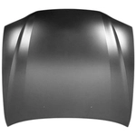 Order SHERMAN PARTS - 8174-28Q-0 - Hood Panel For Your Vehicle