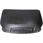 Order Hood Panel Assembly by SHERMAN PARTS - 8225A-28Q-0 For Your Vehicle