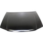 Order Hood Panel Assembly by SHERMAN PARTS - 907-28 For Your Vehicle