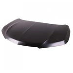Order Hood Panel Assembly by SHERMAN PARTS - ACMDX17-28Q-0 For Your Vehicle