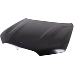 Order Hood Panel Assembly by SHERMAN PARTS - BMX519-28Q-0 For Your Vehicle