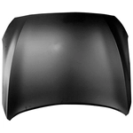 Order Hood Panel Assembly by SHERMAN PARTS - HYGENE15-28Q-0 For Your Vehicle