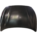Order SHERMAN PARTS - HYSONA18-28-0 - Hood Panel For Your Vehicle