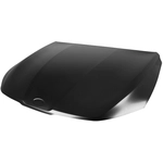 Order Hood Panel Assembly by SHERMAN PARTS - KIK521-28Q-0 For Your Vehicle