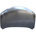 Order Hood Panel Assembly by SHERMAN PARTS - NIROGU18-28Q-0 For Your Vehicle