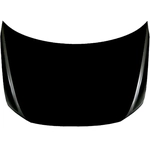 Order SHERMAN PARTS - VWTIGU18-28Q-0 - Hood Panel For Your Vehicle