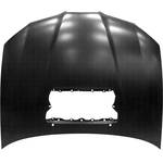 Order Hood Panel Assembly - SU1230139 For Your Vehicle