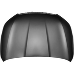 Order Hood Panel Assembly - SU1230144 For Your Vehicle