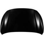 Order Hood Panel Assembly - SU1230150C For Your Vehicle