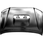 Order Hood Panel Assembly - TO1230223C For Your Vehicle