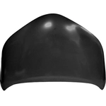 Order Hood Panel Assembly - TO1230246 For Your Vehicle