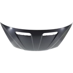 Order Hood Panel Assembly - BM1230114 For Your Vehicle