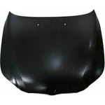 Order Hood Panel Assembly - BM1230116 For Your Vehicle