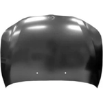 Order Hood Panel Assembly - BM1230116C For Your Vehicle