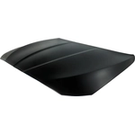 Order Hood Panel Assembly - BM1230130 For Your Vehicle