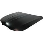 Order Hood Panel Assembly - BM1230132 For Your Vehicle