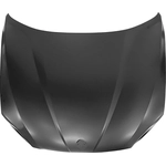 Order Hood Panel Assembly - BM1230137C For Your Vehicle