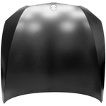 Order Hood Panel Assembly - BM1230140 For Your Vehicle