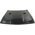 Order Hood Panel Assembly - CH1230277 For Your Vehicle