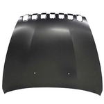 Order Various Manufacturers - CH1230302C - Hood Panel Assembly For Your Vehicle