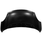 Order Hood Panel Assembly - FI1230101 For Your Vehicle