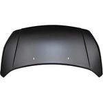 Order Hood Panel Assembly - FO1230306C For Your Vehicle