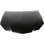 Order Hood Panel Assembly - GM1230296 For Your Vehicle