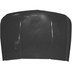 Order Hood Panel Assembly - GM1230365 For Your Vehicle