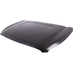 Order Hood Panel Assembly - GM1230449 For Your Vehicle