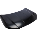 Order Hood Panel Assembly - GM1230468C For Your Vehicle