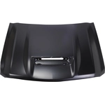 Order Hood Panel Assembly - GM1230469 For Your Vehicle