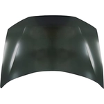 Order Hood Panel Assembly - HO1230165C For Your Vehicle