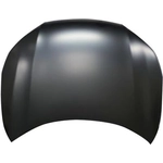 Order Hood Panel Assembly - HO1230170 For Your Vehicle