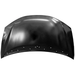 Order Hood Panel Assembly - HO1230178 For Your Vehicle