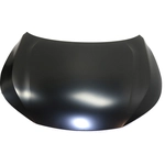 Order Hood Panel Assembly - HO1230185 For Your Vehicle