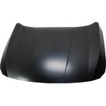 Order Hood Panel Assembly - HO1230192 For Your Vehicle