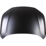 Order Hood Panel Assembly - HO1230195 For Your Vehicle